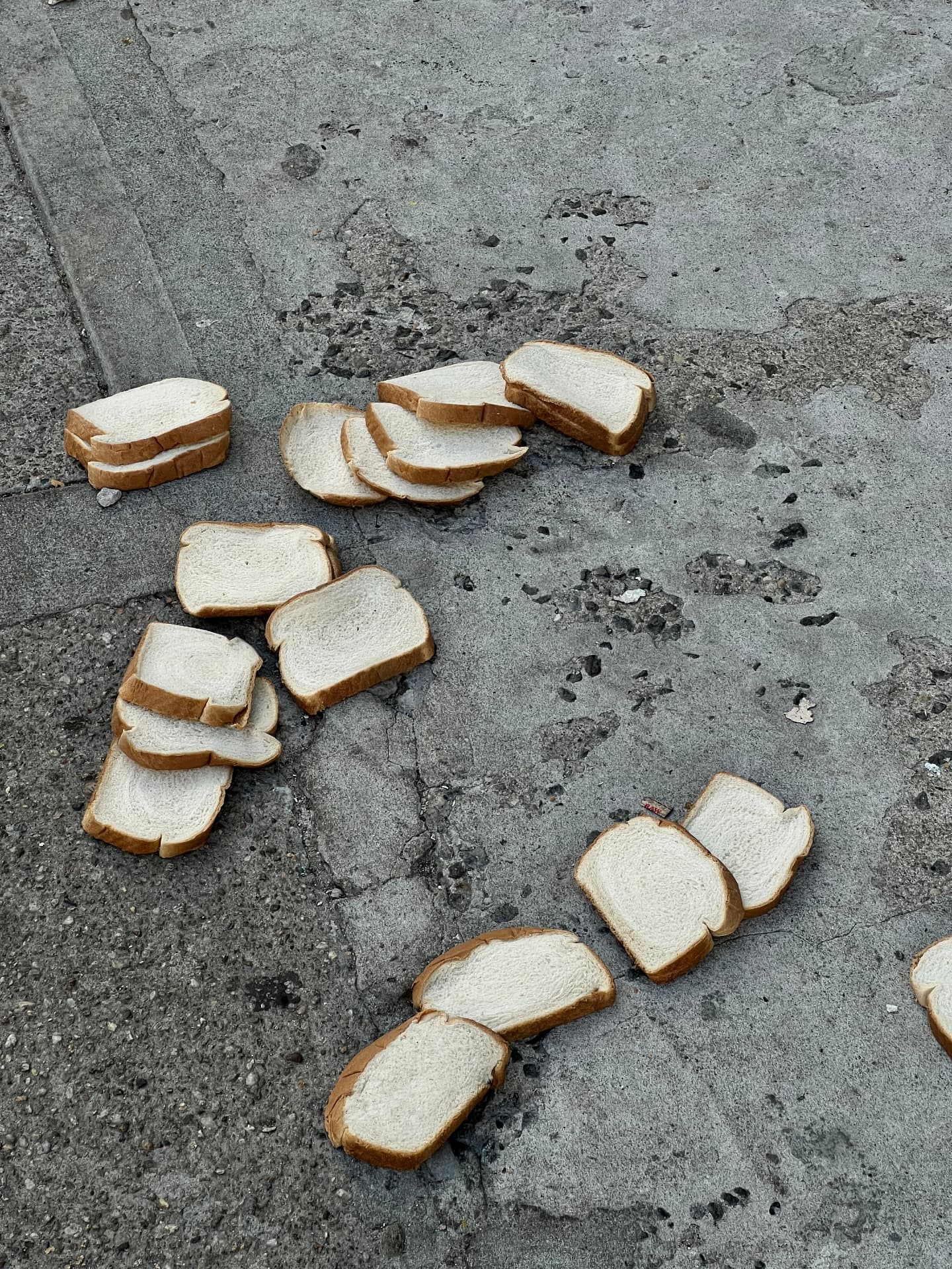 Slices of white bread scattered on concrete
