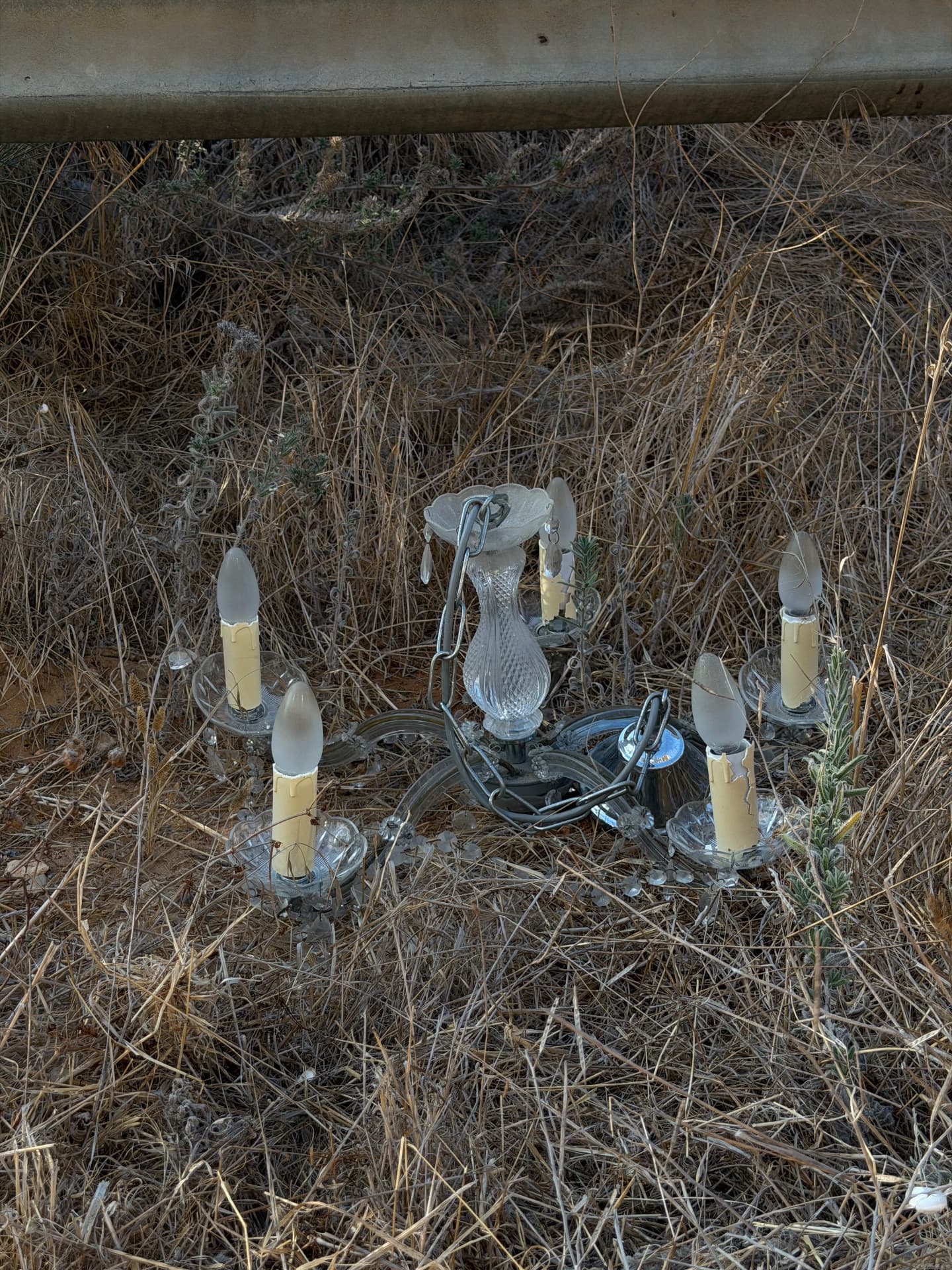 A chandelier lying in dry grass by the roadside